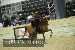 24BUCK_03313 thumbnail
