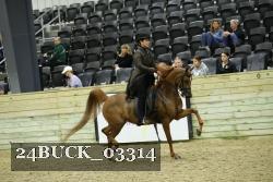 24BUCK_03314 thumbnail