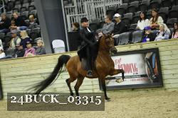 24BUCK_03315 thumbnail