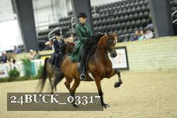24BUCK_03317 thumbnail