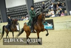 24BUCK_03318 thumbnail