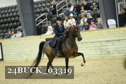 24BUCK_03319 thumbnail