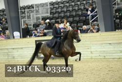24BUCK_03320 thumbnail