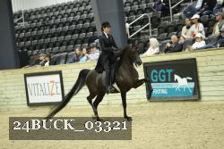 24BUCK_03321 thumbnail