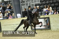 24BUCK_03322 thumbnail