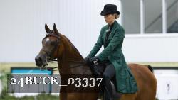 24BUCK_03337 thumbnail