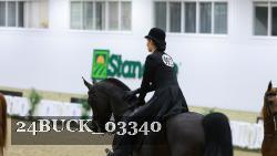 24BUCK_03340 thumbnail