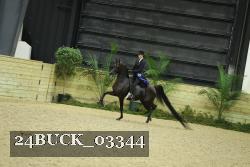 24BUCK_03344 thumbnail