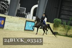 24BUCK_03345 thumbnail