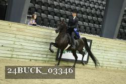 24BUCK_03346 thumbnail