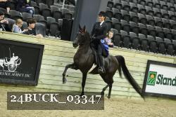 24BUCK_03347 thumbnail