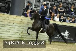 24BUCK_03348 thumbnail