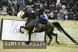 24BUCK_03349 thumbnail