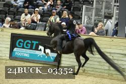24BUCK_03352 thumbnail