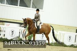 24BUCK_03359 thumbnail