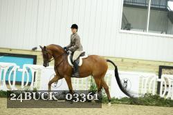24BUCK_03361 thumbnail