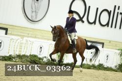 24BUCK_03362 thumbnail