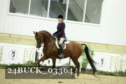 24BUCK_03364 thumbnail