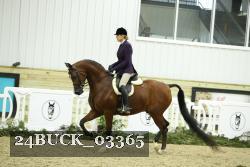 24BUCK_03365 thumbnail