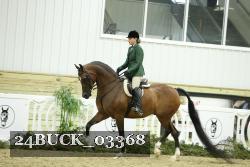24BUCK_03368 thumbnail
