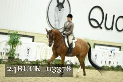 24BUCK_03378 thumbnail