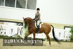 24BUCK_03379 thumbnail