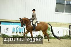 24BUCK_03380 thumbnail