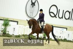 24BUCK_03384 thumbnail
