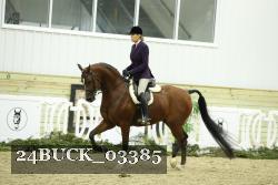 24BUCK_03385 thumbnail