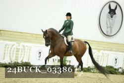 24BUCK_03386 thumbnail