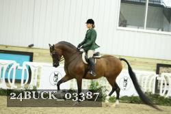 24BUCK_03387 thumbnail