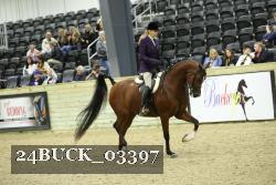 24BUCK_03397 thumbnail