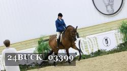 24BUCK_03399 thumbnail
