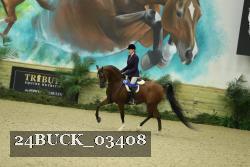 24BUCK_03408 thumbnail