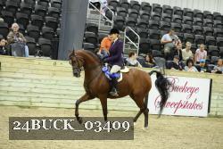 24BUCK_03409 thumbnail