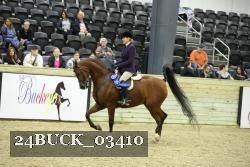 24BUCK_03410 thumbnail