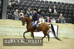 24BUCK_03411 thumbnail
