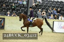 24BUCK_03412 thumbnail