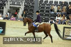 24BUCK_03413 thumbnail