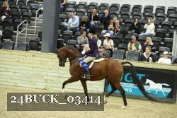 24BUCK_03414 thumbnail