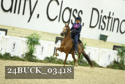 24BUCK_03418 thumbnail