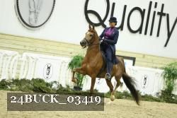 24BUCK_03419 thumbnail