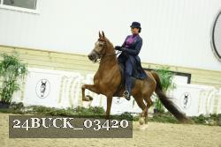 24BUCK_03420 thumbnail