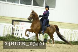 24BUCK_03421 thumbnail