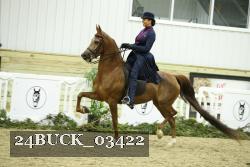 24BUCK_03422 thumbnail