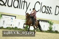 24BUCK_03423 thumbnail