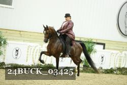 24BUCK_03425 thumbnail