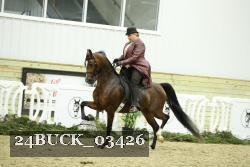 24BUCK_03426 thumbnail