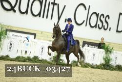 24BUCK_03427 thumbnail