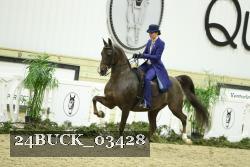 24BUCK_03428 thumbnail